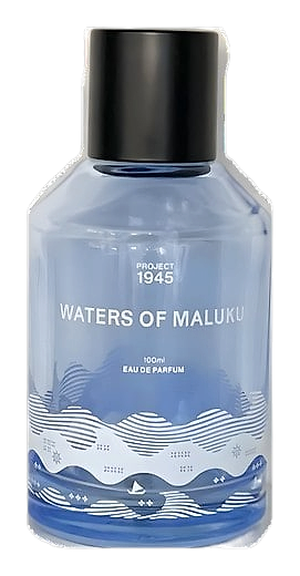 Waters Of Maluku by Project 1945