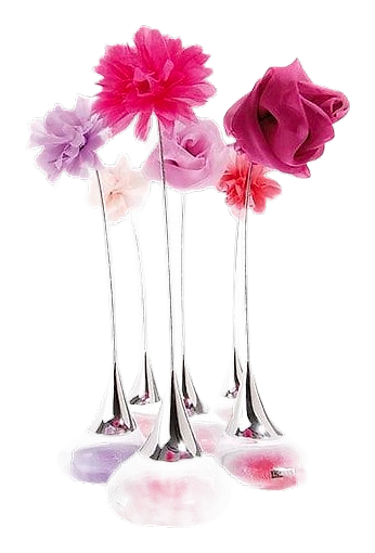 Air de Fio No 5 by Pupa – Eau de Toilette