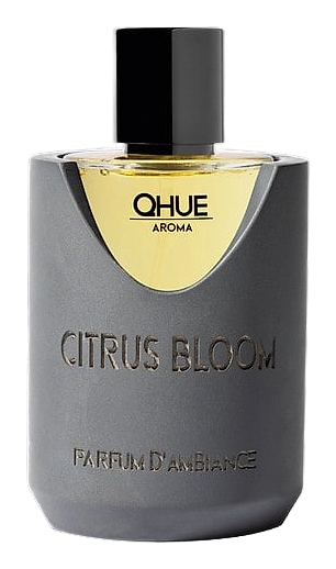 Citrus Bloom by Qhue