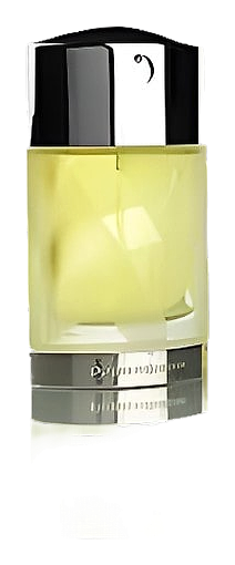 Xs Pour Elle by Rabanne