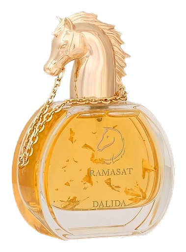 Dalida by Ramasat
