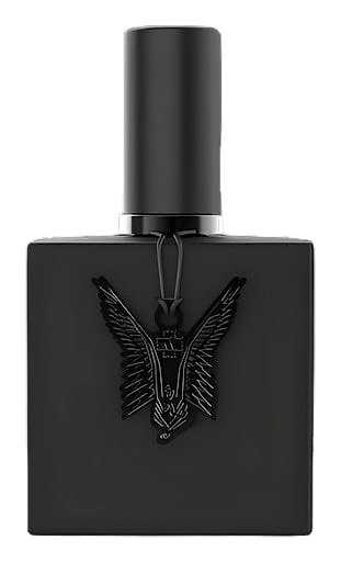 Schwarz by Rammstein