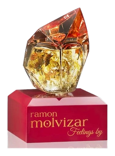 Feelings by Ramon Molvizar