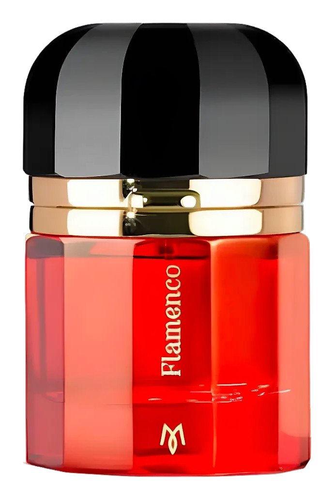 Flamenco by Ramon Monegal