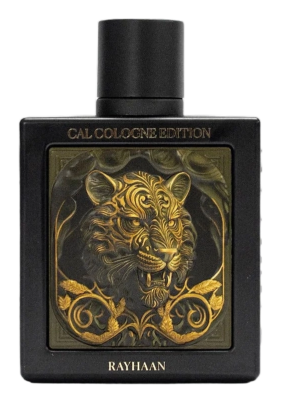 Tiger by Rayhaan