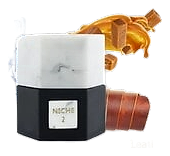 Niche 2 by Reef Perfumes