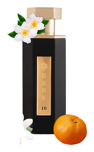 Reef 10 by Reef Perfumes