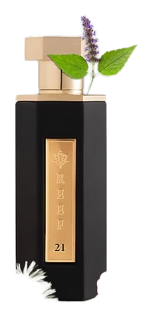 Reef 21 by Reef Perfumes
