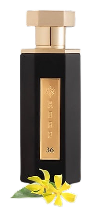 REEF 36 by Reef Perfumes