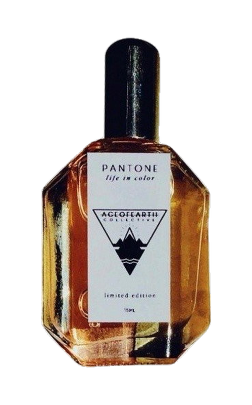 Remember Me by Jovoy Paris