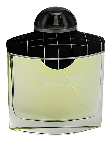 Insurrection Spirit by Reyane Tradition – Eau de Toilette