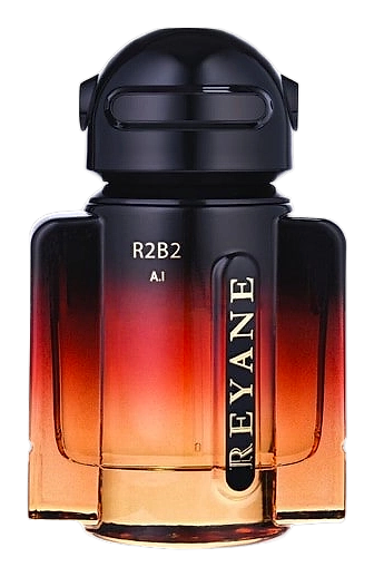 R2b2 A.i. by Reyane Tradition