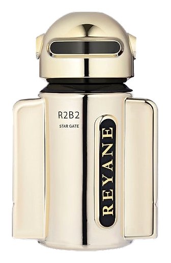 R2b2 Star Gate by Reyane Tradition