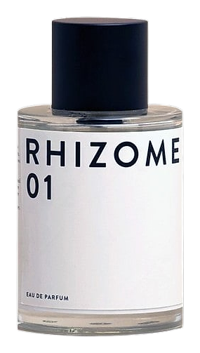 Rhizome 01 by Rhizome