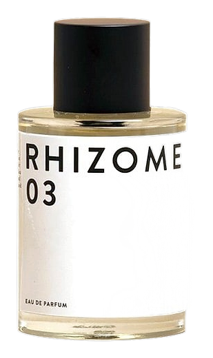 Rhizome 03 by Rhizome