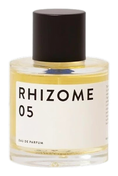 Rhizome 05 by Rhizome