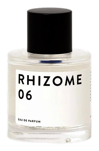 Rhizome 06