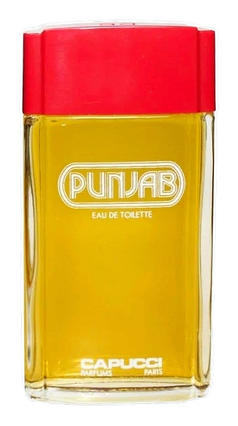 Punjab by Roberto Capucci