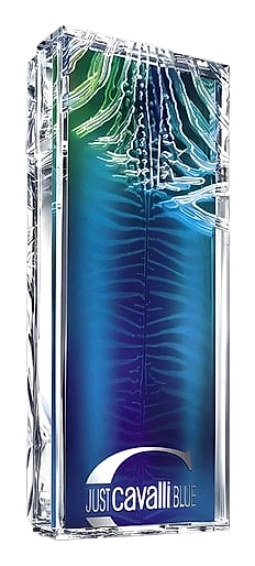 Just Cavalli Blue by Roberto Cavalli