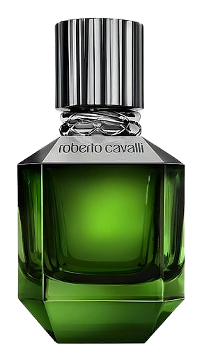 Paradise Found For Men by Roberto Cavalli