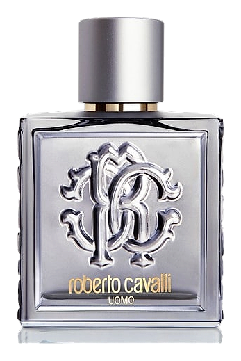Roberto Cavalli Uomo Silver Essence by Roberto Cavalli
