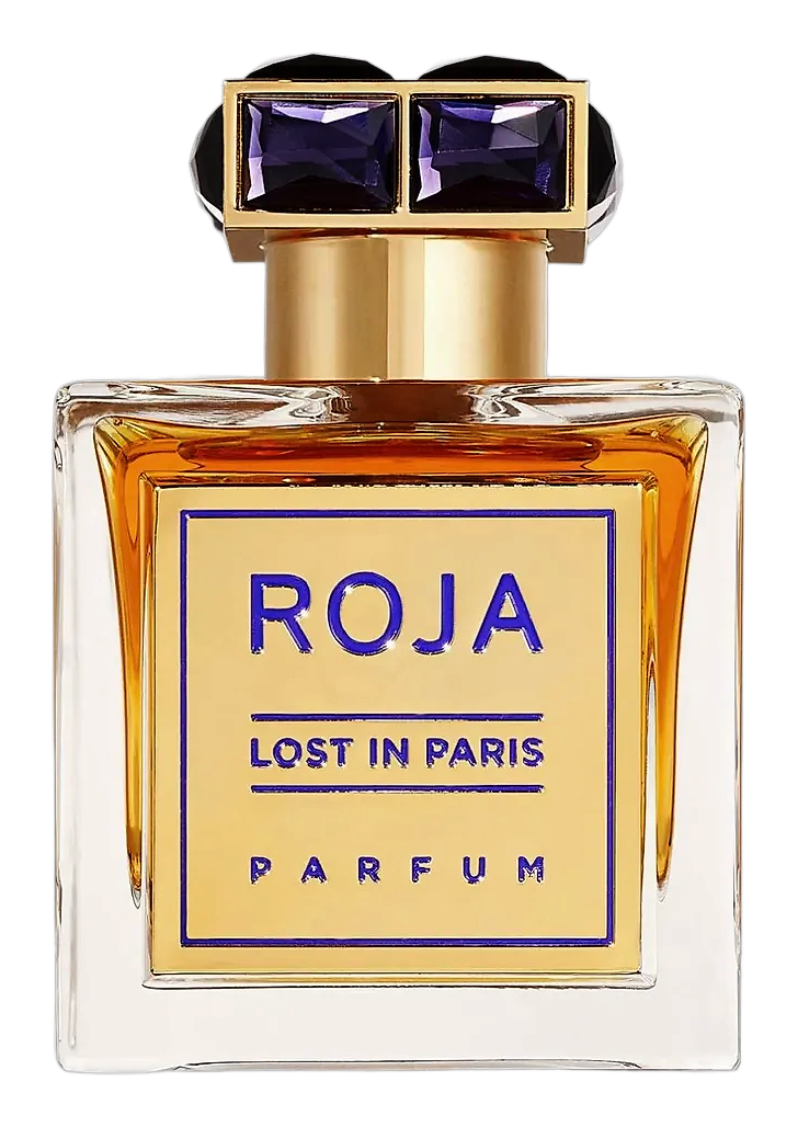 Lost In Paris by Roja Dove