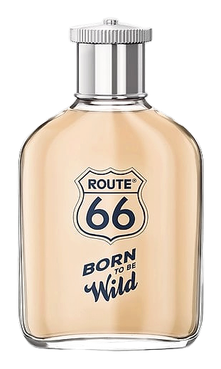 Born To Be Wild by Route 66