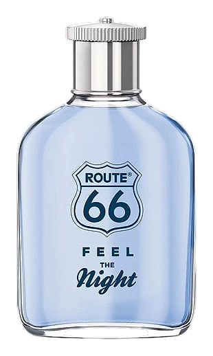 Feel The Night by Route 66