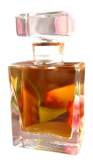 Rosa by Roxana Illuminated Perfume