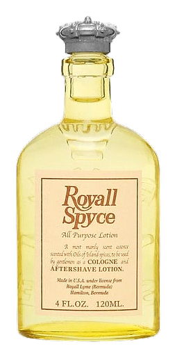 Royall Spyce by Royall Lyme Bermuda