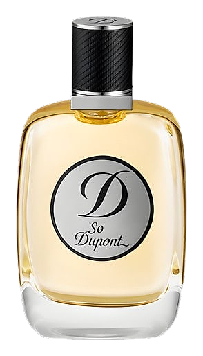 So Dupont Pour Homme by S.T. Dupont