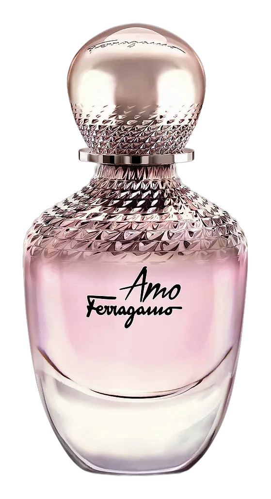 Salvatore Ferragamo Amo Ferragamo