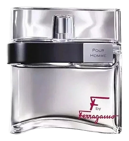 Salvatore Ferragamo F by Ferragamo Pour Homme