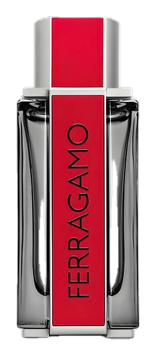 Salvatore Ferragamo Ferragamo Red Leather