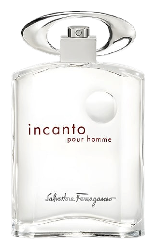 Salvatore Ferragamo Incanto Pour Homme