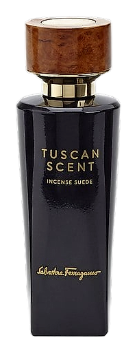 Incense Suede by Salvatore Ferragamo