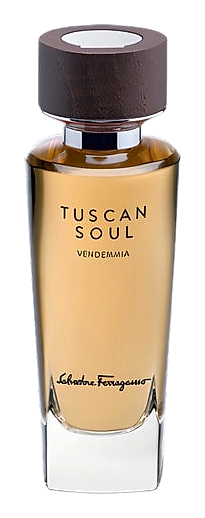 Vendemmia (2013) by Salvatore Ferragamo