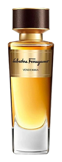 Vendemmia by Salvatore Ferragamo
