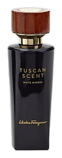 White Mimosa by Salvatore Ferragamo