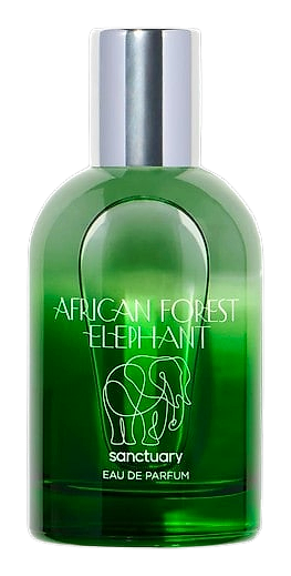 African Forest Elephant by Sanctuary