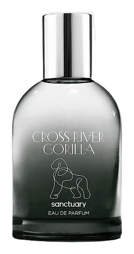 Cross River Gorilla by Sanctuary
