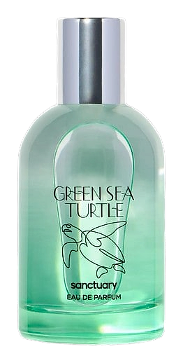 Sanctuary Green Sea Turtle