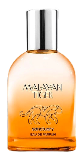 Malayan Tiger by Sanctuary