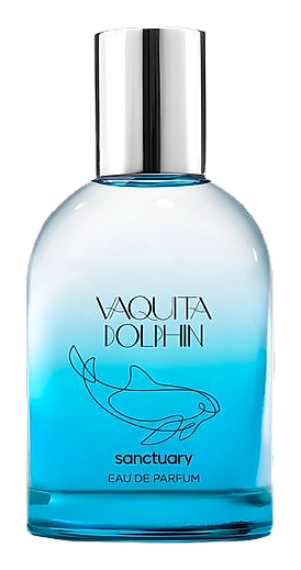 Vaquita Dolphin by Sanctuary