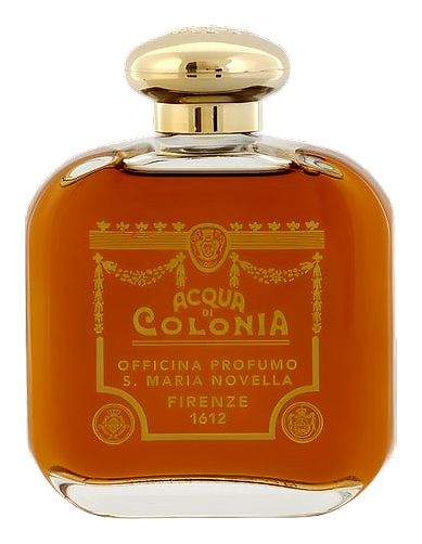 Frangipane by Santa Maria Novella