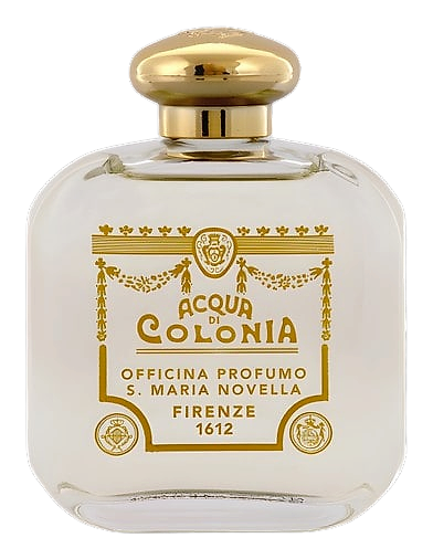 Rosa by Santa Maria Novella