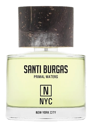 New York City by Santi Burgas