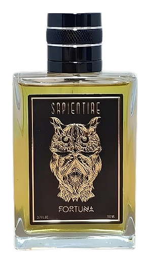 Fortuna by Sapientiae Niche