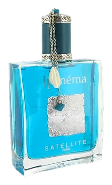 Ipanema by Satellite