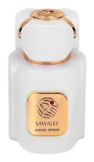 Angel Spirit by Sawalef